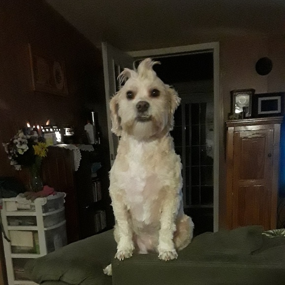 Meet your Posher, Terry - Picture 1 of 1